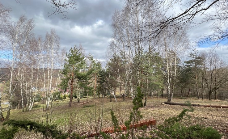 działka na sprzedaż - Łapanów, Zbydniów