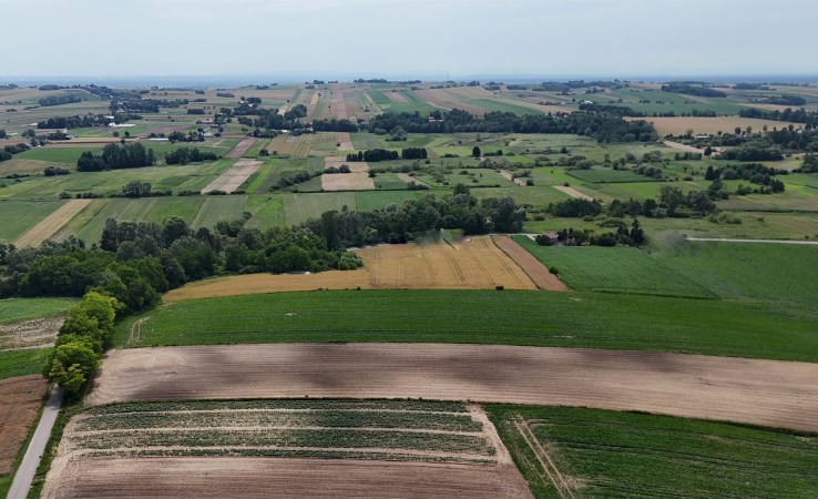 działka na sprzedaż - Koszyce, Biskupice